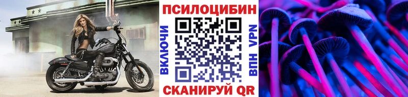 маркетплейс наркотические препараты  Ельня  Псилоцибиновые грибы MAGIC MUSHROOMS  KRAKEN ССЫЛКА 